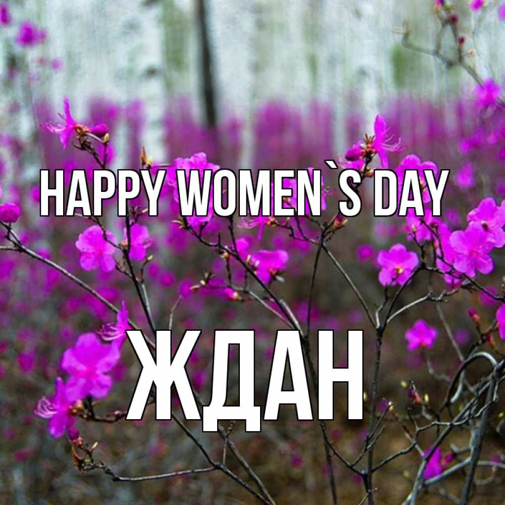 Greetings card с именем, Ждан happy women`s day дикие цветы Greetings with text for free download 